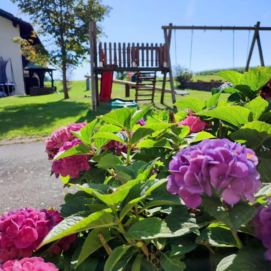 Fruehstuecks-Pension Lichtenauer Hof Thyrnau Екстериор снимка